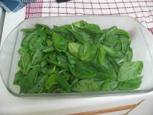 frozen basil leaves