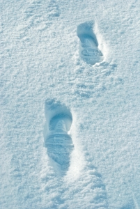 snow foot prints